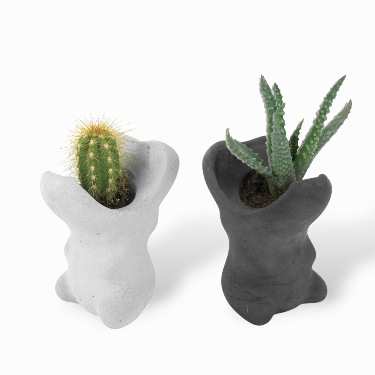 Hippo | Flusspferd aus Beton