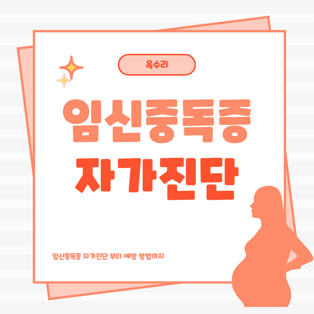 임신중독증 위험도 예시